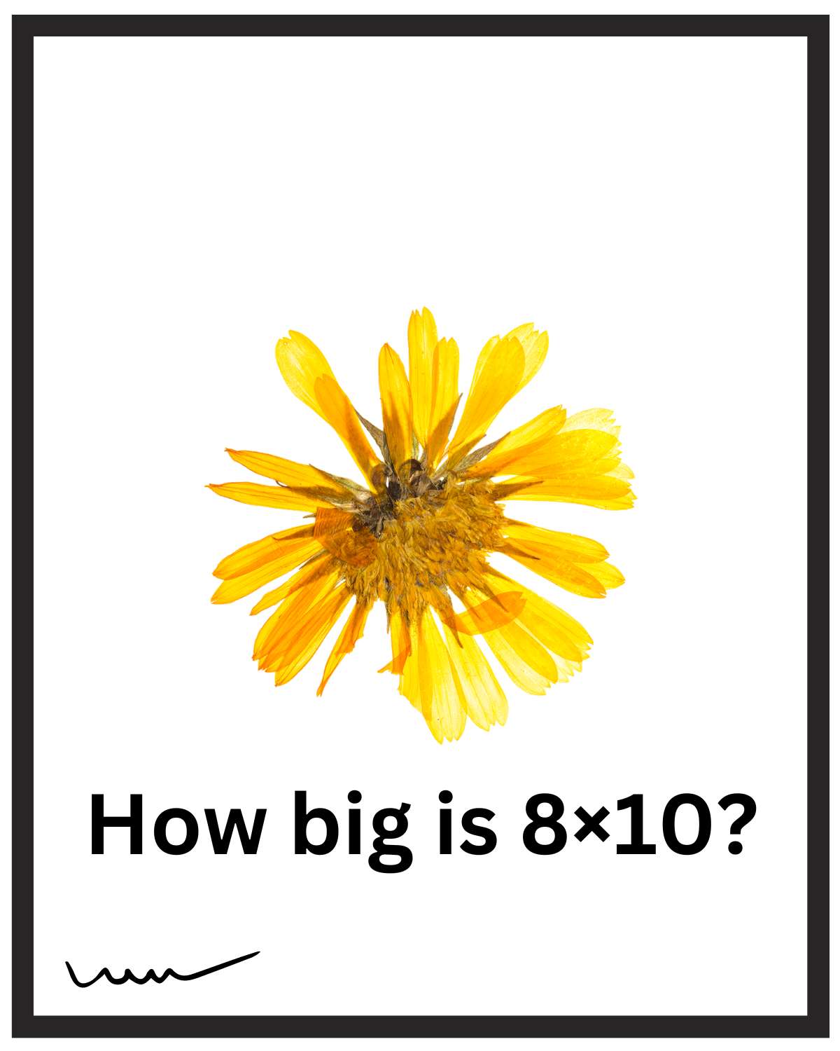 A Comprehensive Guide to the Dimensions of 8x10 Pictures: How big is 8×10?